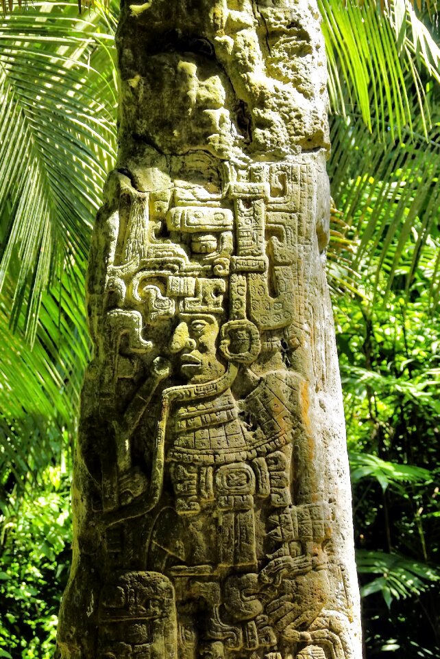 Stone maya rainforest