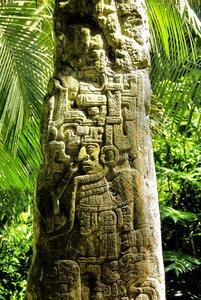 Stone maya rainforest photo