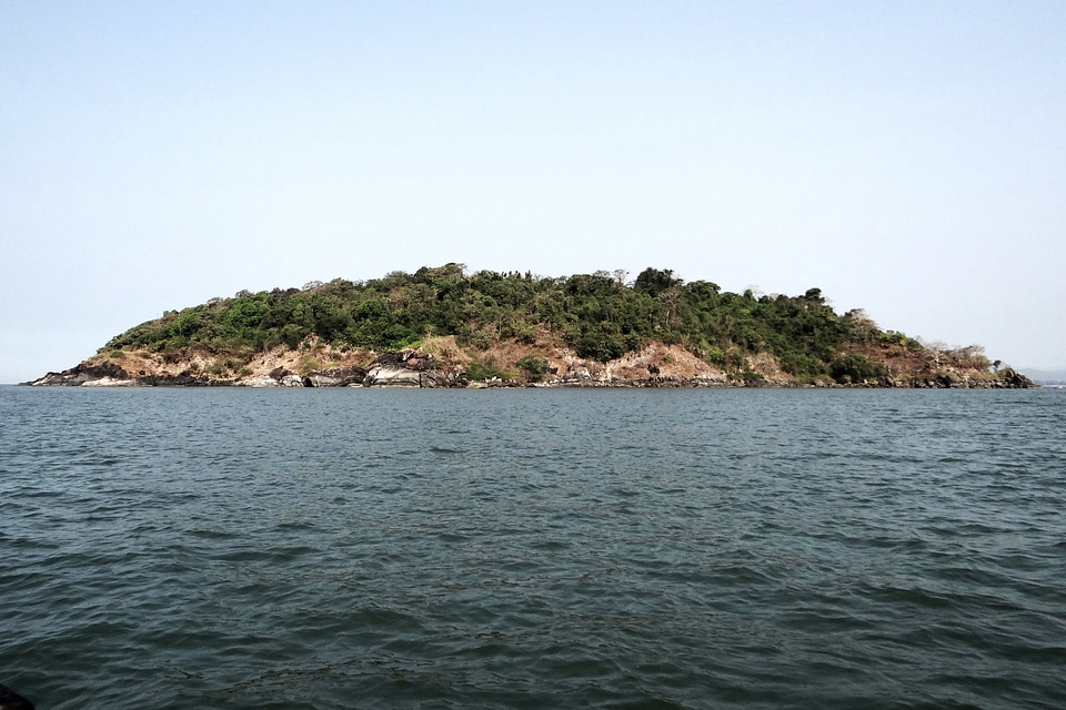 Mound rocky vegetation