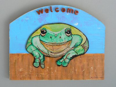Frog curious green