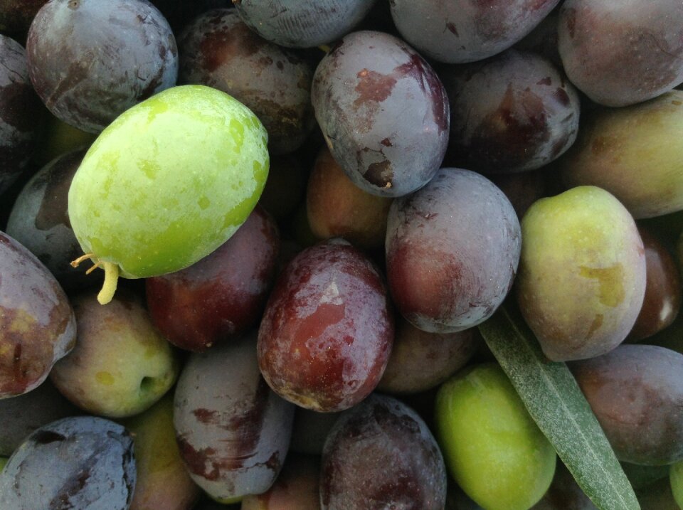 Fresh vegetables