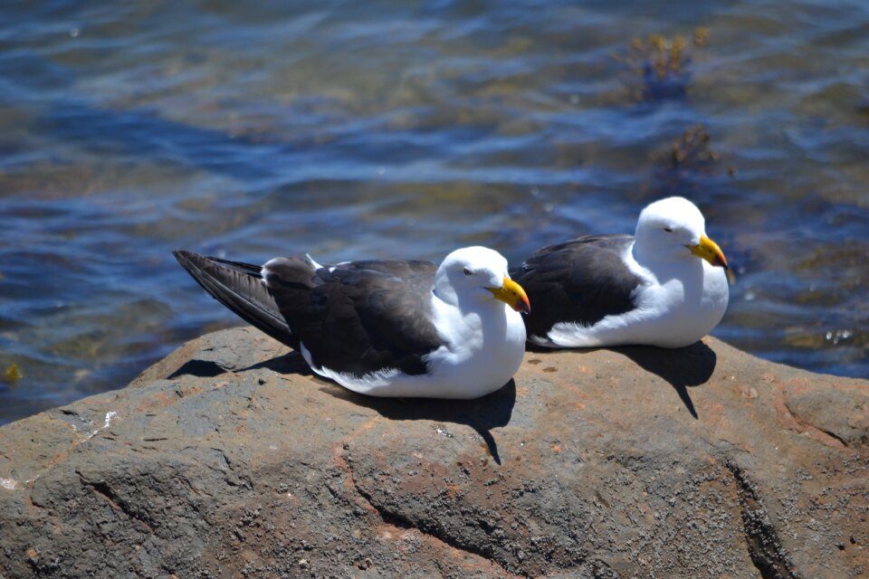 South australia australia