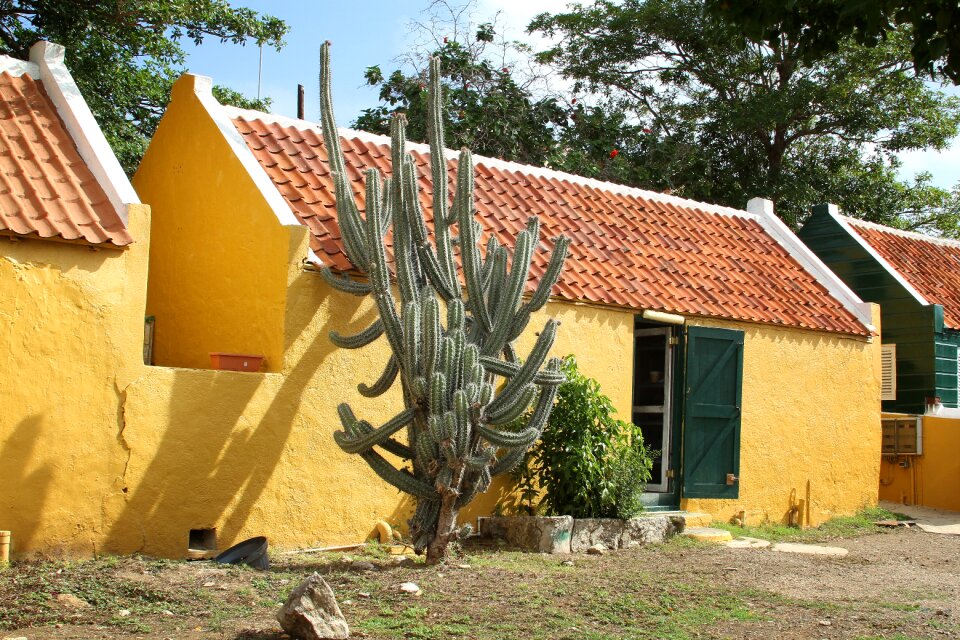 Yellow architecture house facade