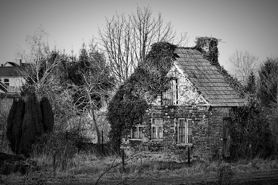 Black and white wild retro