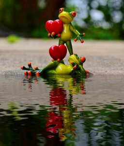 Water bank reflection