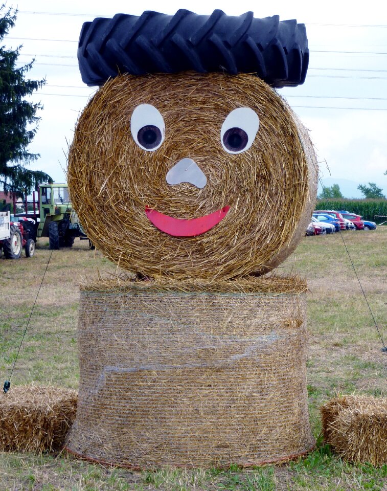 Harvest field rural