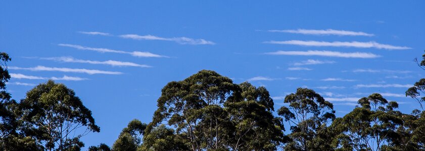 Linear lines weather photo