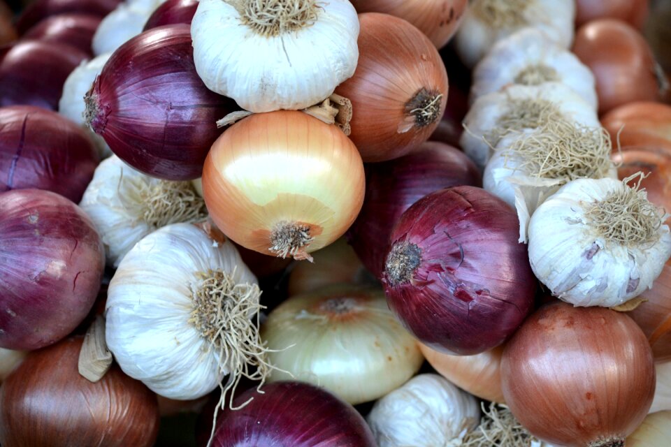 Onions onion garlic
