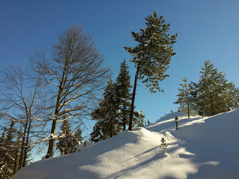 Snow winter cold germany