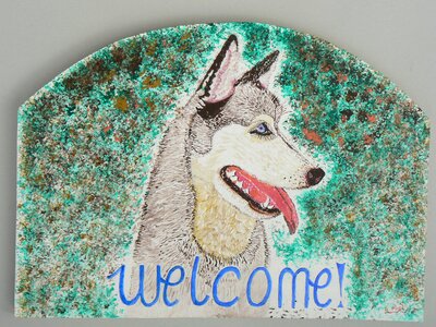 Husky dog animal