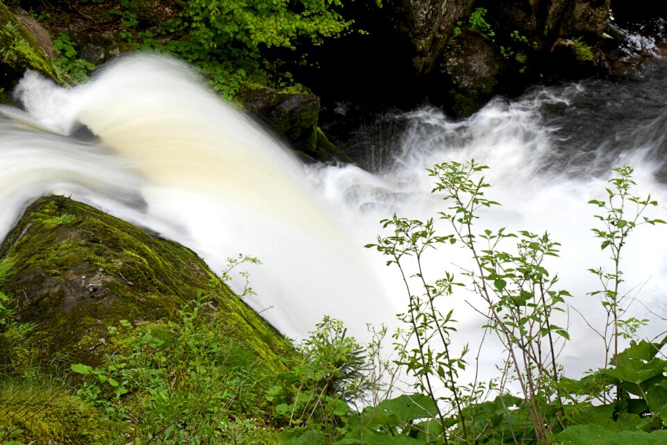 Force of nature black forest water