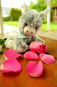 Stuffed animal rose flowers