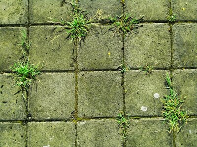 Stone brown