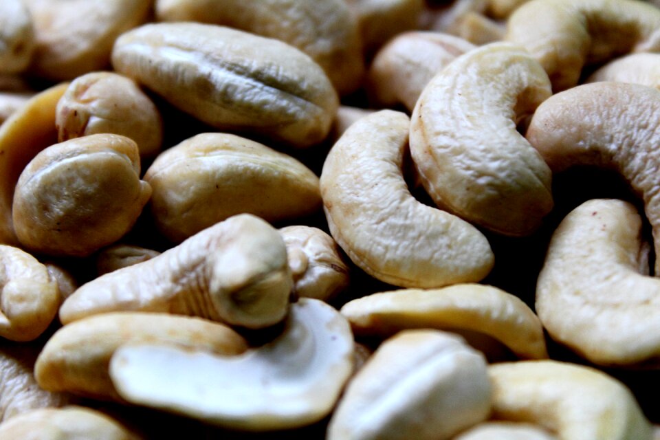 Food nutrition seed