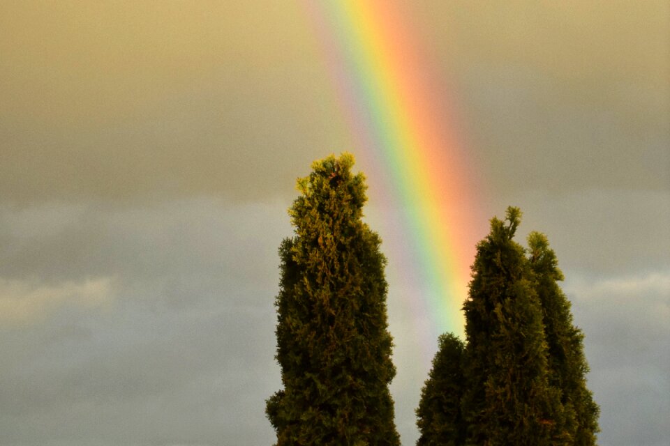 Atmospheric color abendstimmung