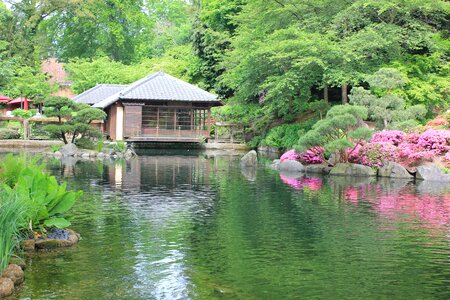 Garden azalea teepavilion