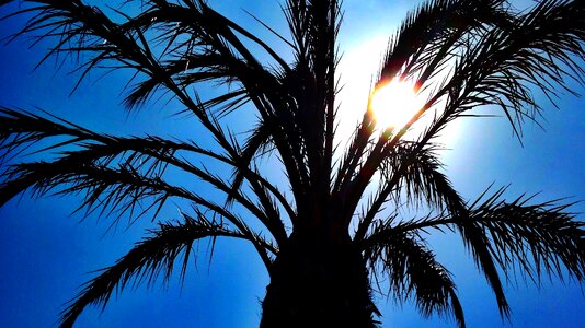 Sun heaven silhouette