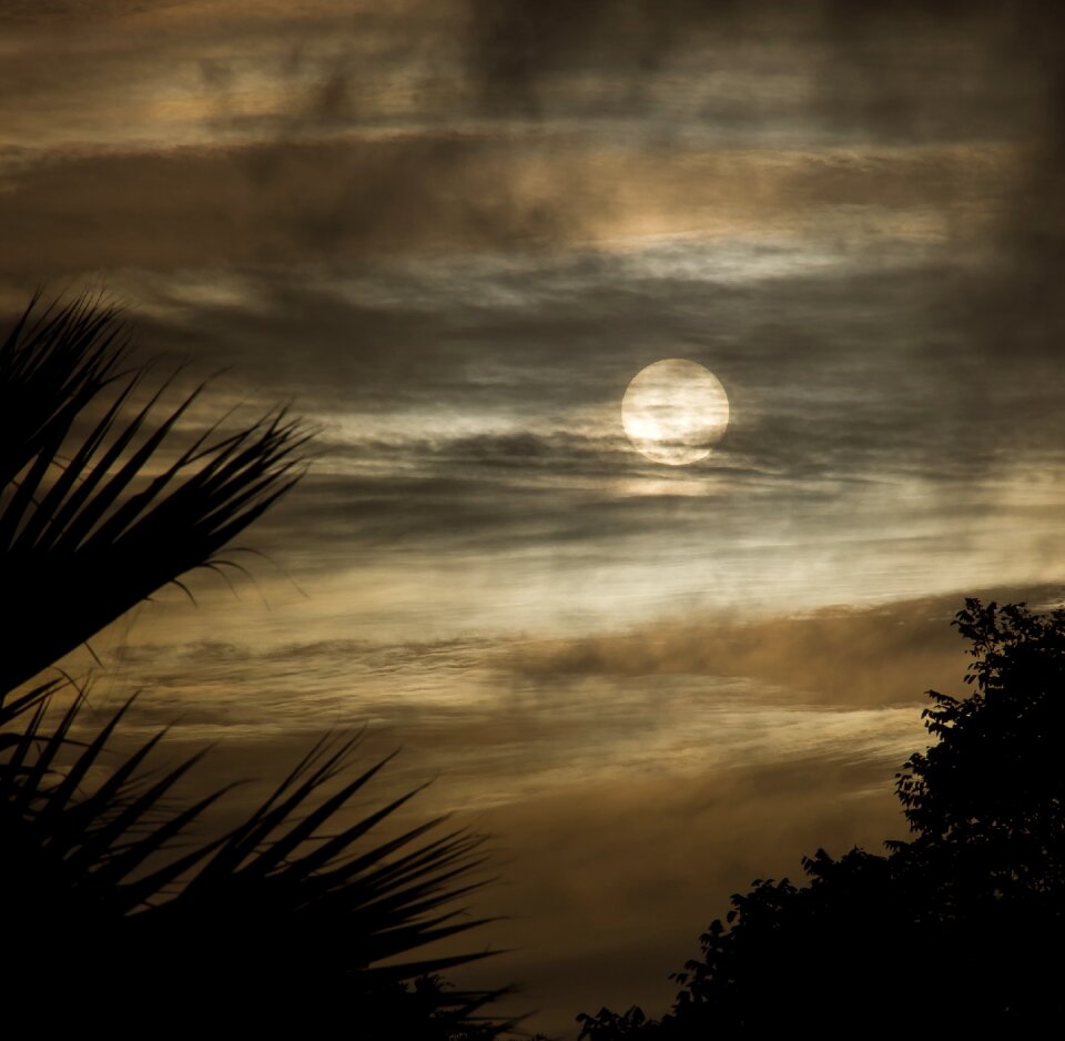 Sunset grey gold