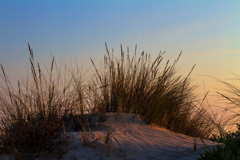 Sea dune by the sea