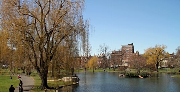 Common landmark