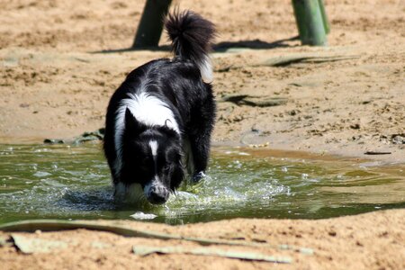 Play water drink