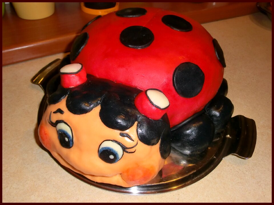 Ladybug sweetness red