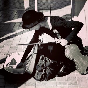Violin music instruments photo