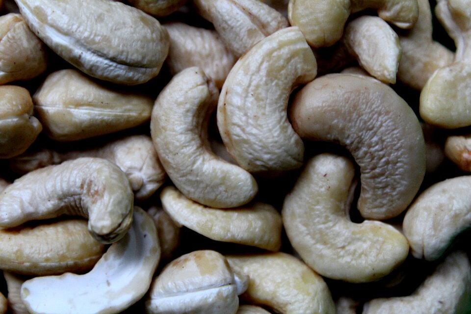 Food nutrition seed