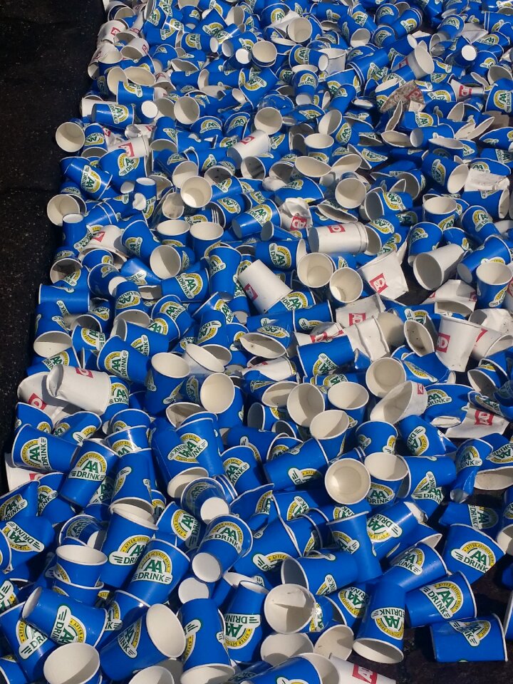 Rotterdam plastic glasses one use