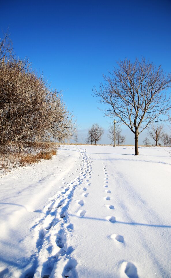 Path road trails