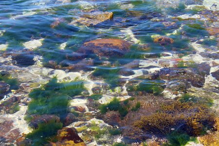 Water bottom