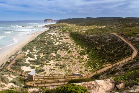 Australia coast animal