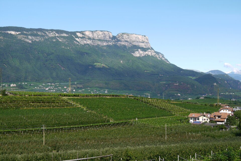 South tyrol vineyards mountains