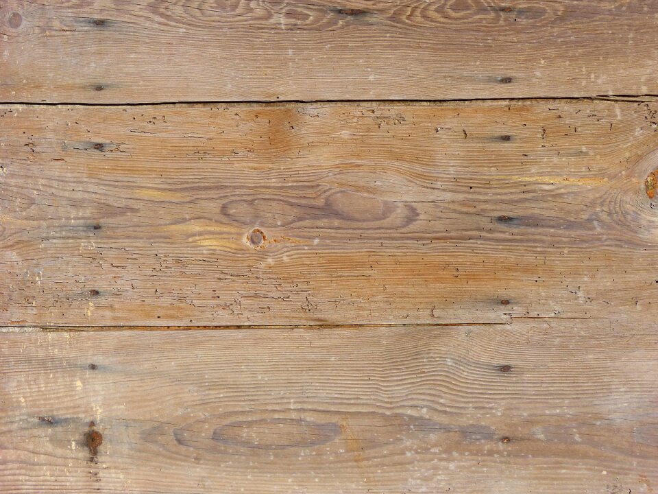 Old wood worn waters