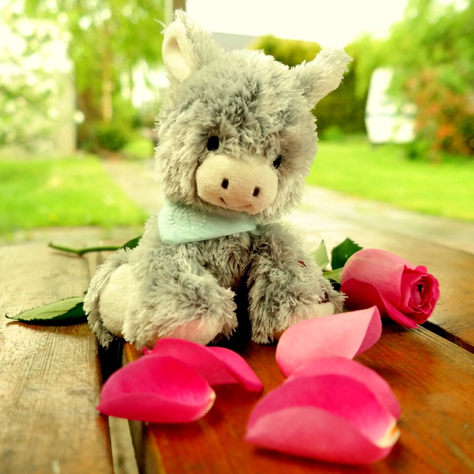 Stuffed animal rose flowers