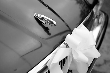 Car jaguar hood