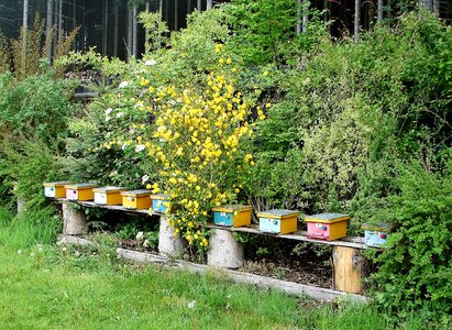 Bee nursery beehives oplodňáčky