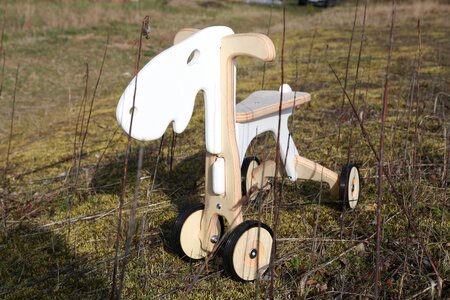 Konik donkey meadow