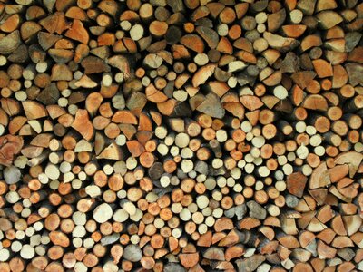 Brown wood texture photo