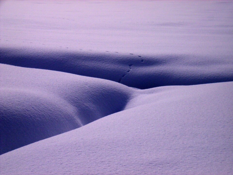 Winter schneeflaeche dig