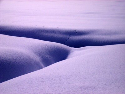 Winter schneeflaeche dig