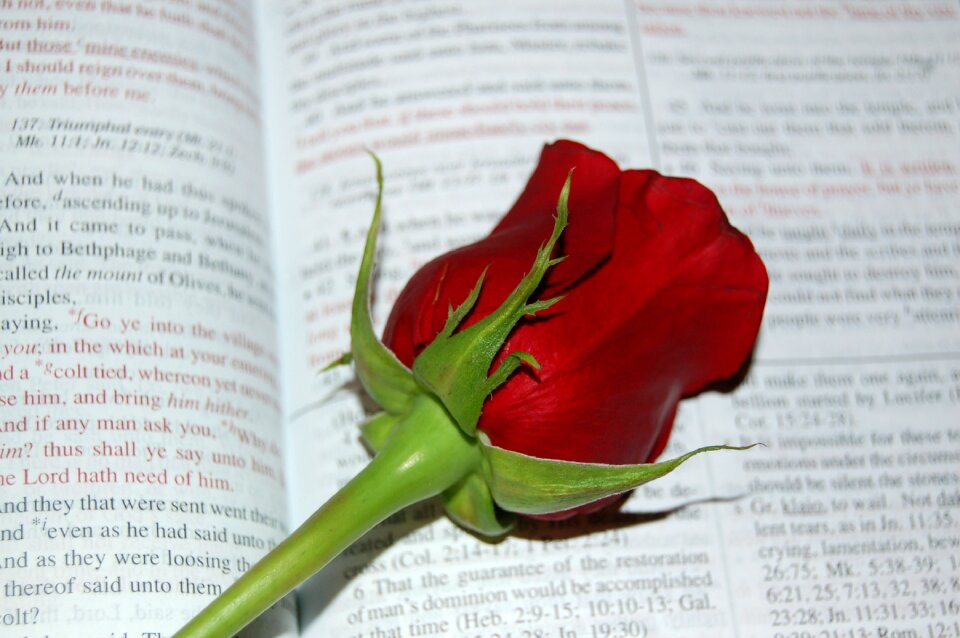 Religion book christianity