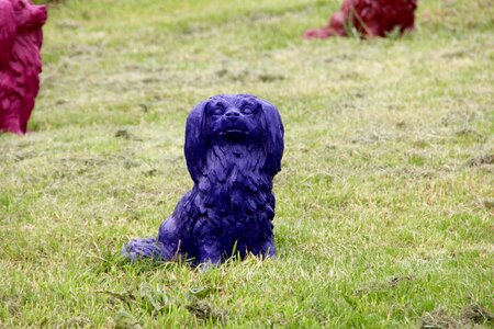Dog decoration summer