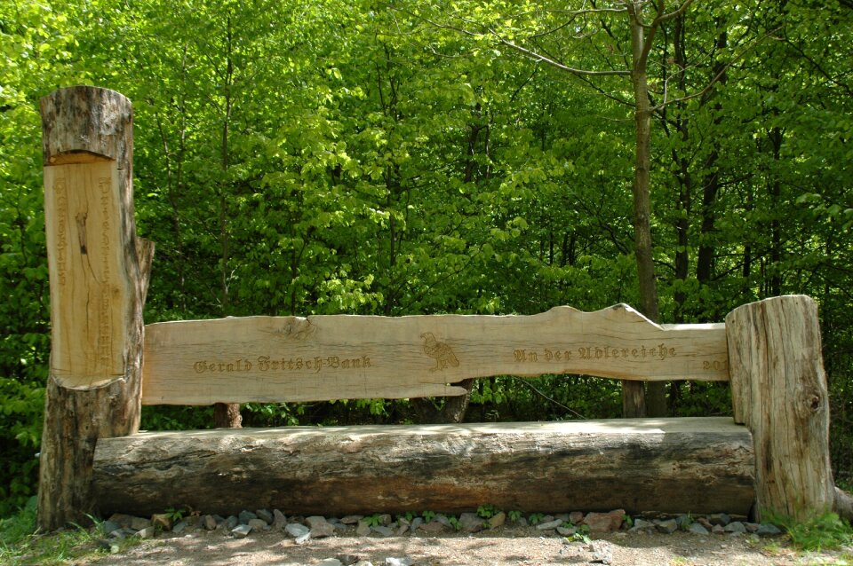 Wood nature quaint