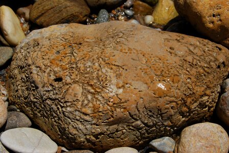 Water sea pebble beach photo