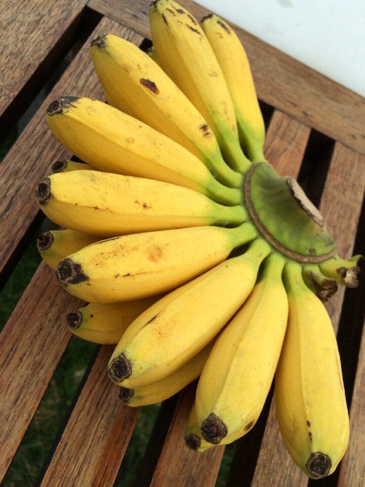 Fruit mini-banana thailand