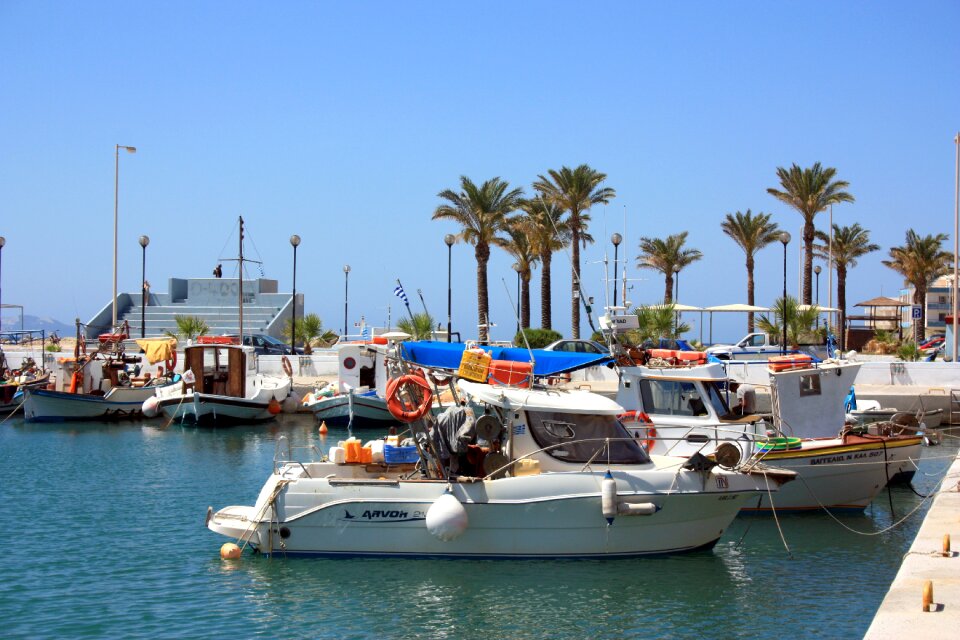 Aegean palm trees water