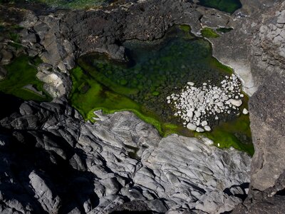 Sea rocky coast green water