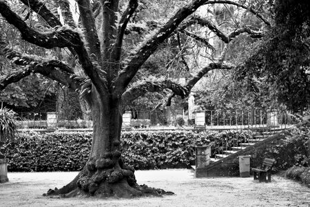 Park coimbra nature