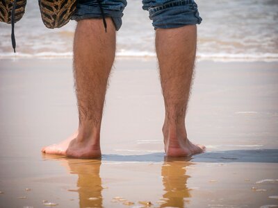 Vacations beach dunes photo